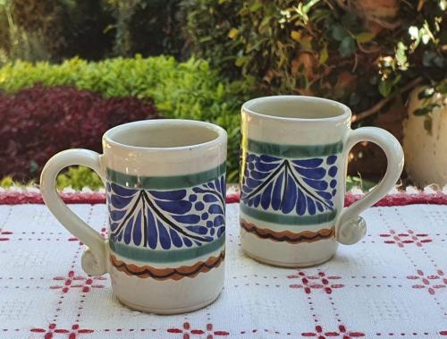 mexican-tequila-express-mug-table-decor-pottery-ceramic-hand-made-1