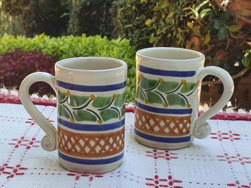  mexican-tequila-express-mug-table-decor-pottery-ceramic-hand-made-2
