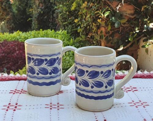  mexican-tequila-express-mug-table-decor-pottery-ceramic-tableware-blue