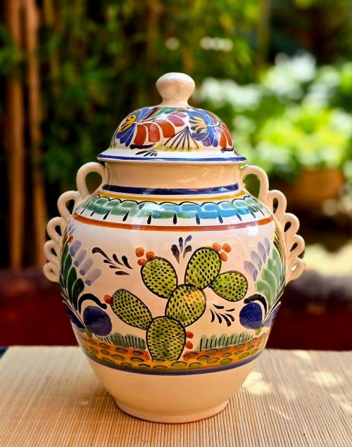  prickly-nopal-decorative-vase-jar-colors-farm-ranch-gifts-1-1